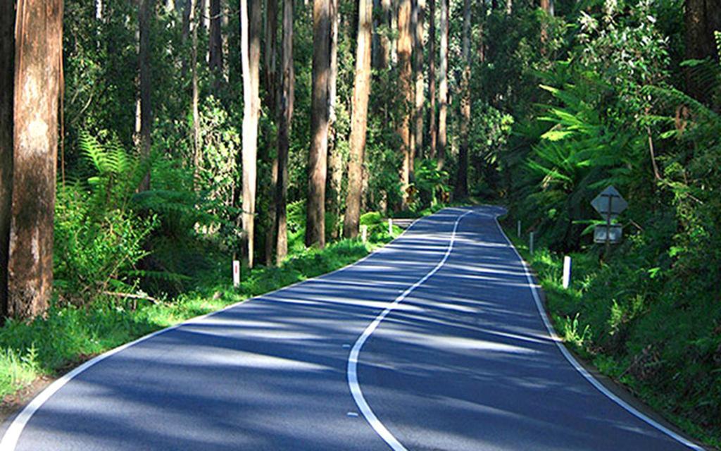 Marysville Holiday Park Ngoại thất bức ảnh